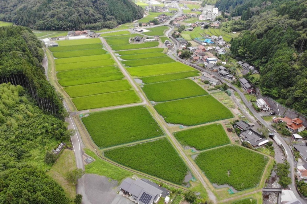 なだらかで日当たりの良い農地